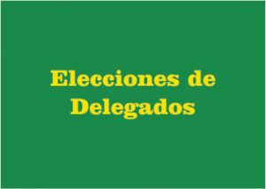elecciones delegados